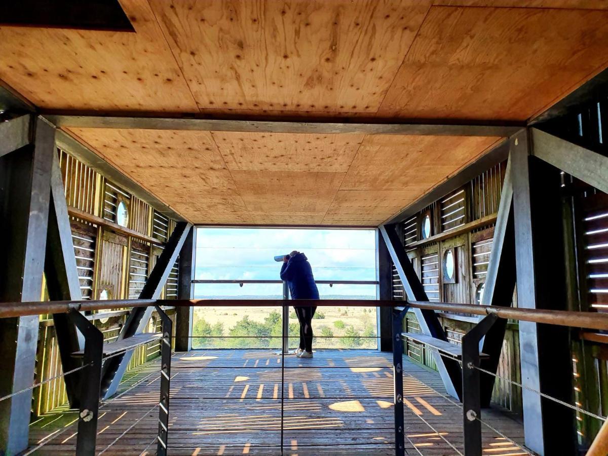 4P Chalet Tolve Met 4 Fietsen Vlakbij Natuurgebieden Drents Friese Wold, Fochteloerveen En Gevangenisdorp Veenhuizen Остервольде Экстерьер фото