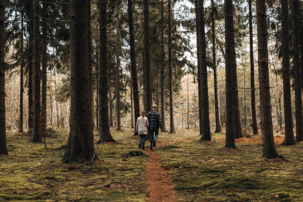 4P Chalet Tolve Met 4 Fietsen Vlakbij Natuurgebieden Drents Friese Wold, Fochteloerveen En Gevangenisdorp Veenhuizen Остервольде Экстерьер фото